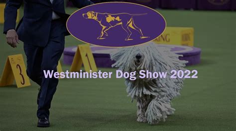 what chanel is the westminister dog show on with rogers|westminster dog show tickets.